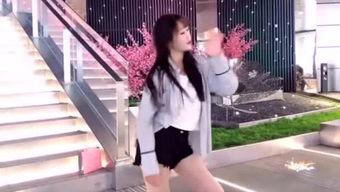 吃瓜娱乐酱研究生