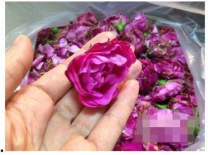 娱乐吃瓜酱玫瑰,玫瑰背后的故事揭秘